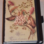 Нотатник. Автор: Ганна Шпілька. 2010